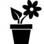 Plante